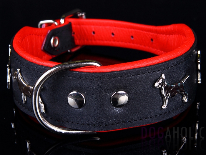 English Bull Terrier Leather Dog Collar
