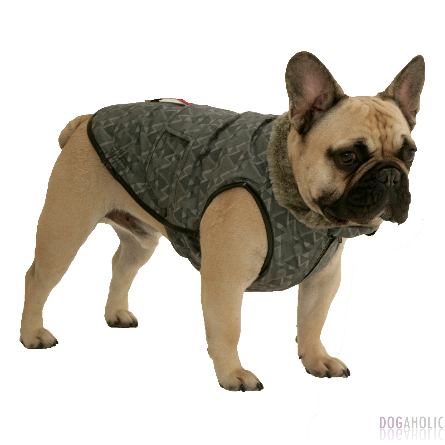 Dogissimo Milan Coat for French Bulldogs Dogaholic