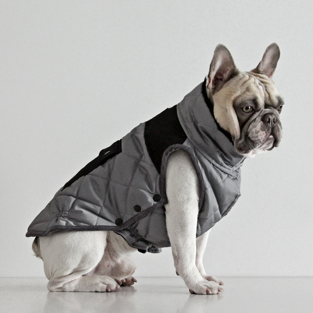 Dogissimo Monaco Coat for French Bulldog Grey Dogaholic