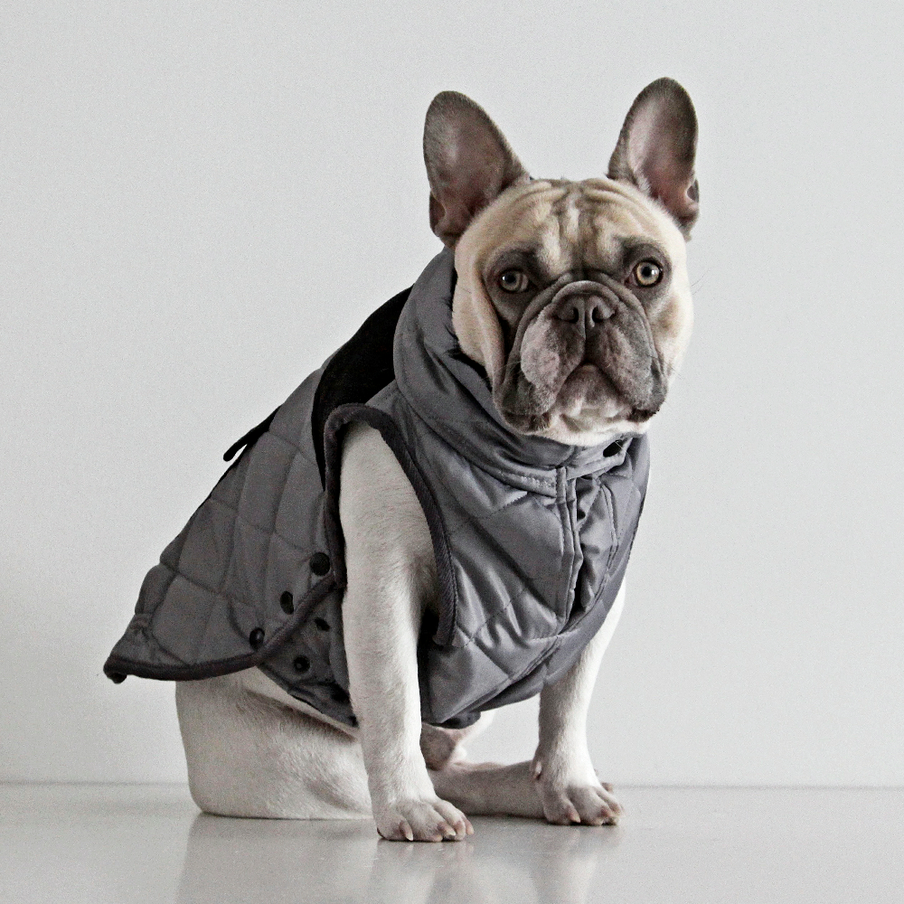 Dogissimo Monaco Coat for French Bulldog Grey Dogaholic